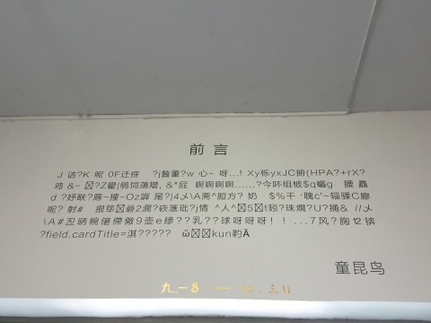 童昆鸟自己定下的展览前言，似乱码，又似艺术家沉醉在自我世界中的咿咿自语
