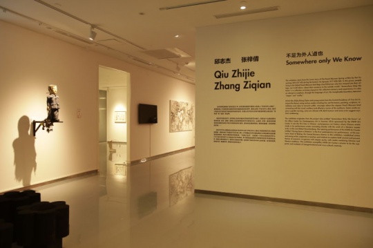 金杜艺术中心 邱志杰、张梓倩策展“不足为外人道也” 展览现场
