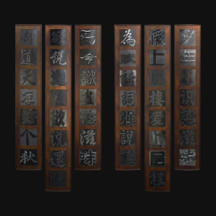 鸟头 《辛弃疾<丑奴儿>》 200×250cm 摄影装置 2011 
