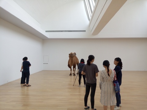 赵赵新展亮相唐人，“塔克拉玛干”的骆驼来到展厅