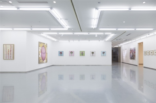 茹小凡个展“植物、气球与钟形罩”展览现场
