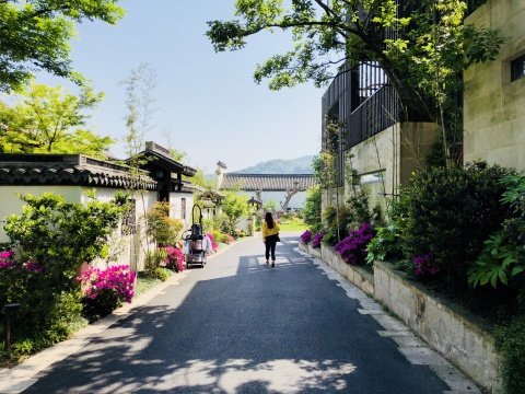 道路两边不同风格的酒店客房
