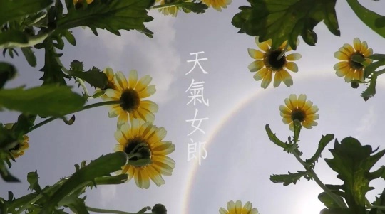 劳丽丽，《天气女郎—Halo Daisy》，单频道录像，彩色、粤语、英文字幕，6分33秒，2016，图片由艺术家提供
