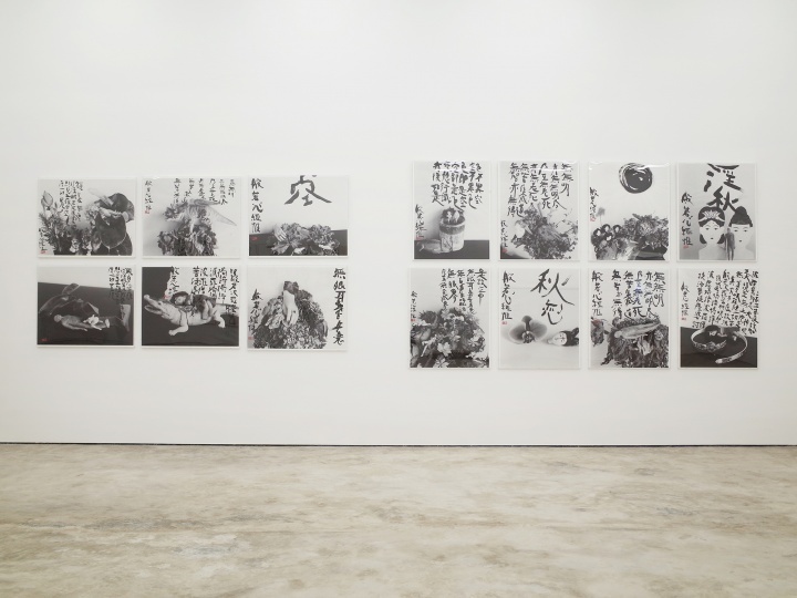 亦安画廊迁址七棵树之后的首个展览“荒木经惟·朱新建——天上大风”展览现场（©️亦安画廊）
