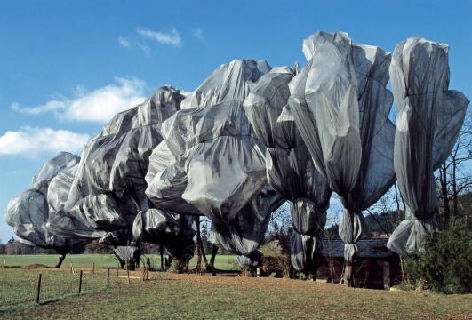 《包裹树木》 瑞士里恩 1997-98 摄影：Wolfgang Volz ©1998 Christo  
